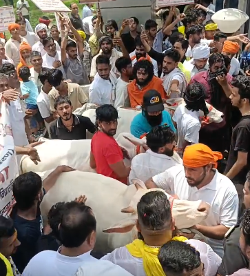 भिवानी में गौ सम्मान अभियान