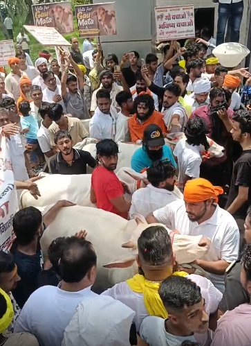 भिवानी में गौ सम्मान अभियान