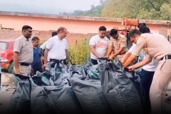 बद्दी पुलिस ने 400 किलो अफीम डोडे बरामद किए