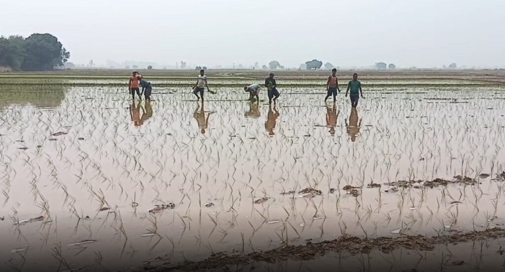 अंबाला में बारिश का इंतजार