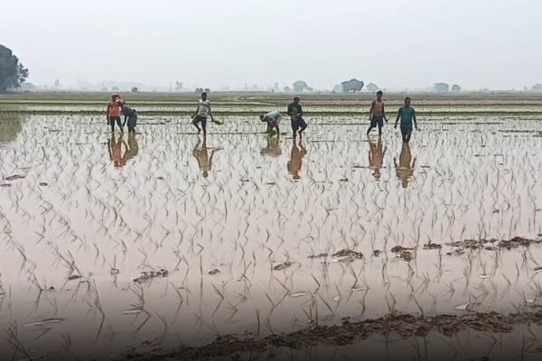 अंबाला में बारिश का इंतजार