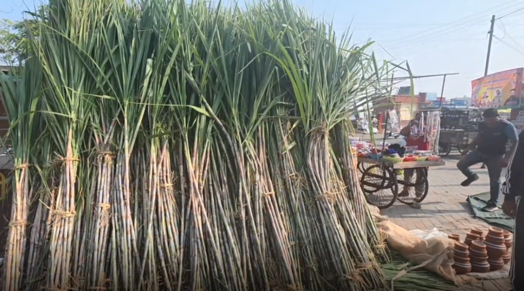 अहोई माता के व्रत को लेकर बाजार में बिक्री के लिए रखे गए गन्ने।